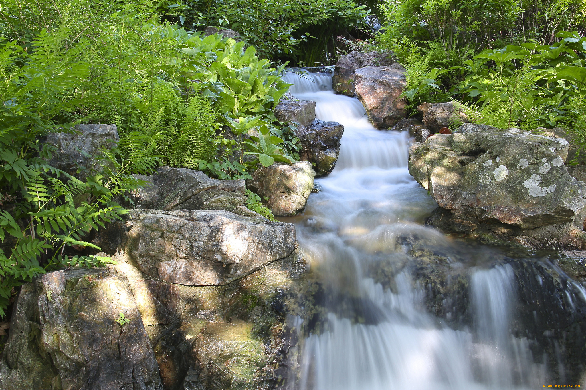 chicago, botanic, garden, glencoe, illinois, , , , , , , , , 